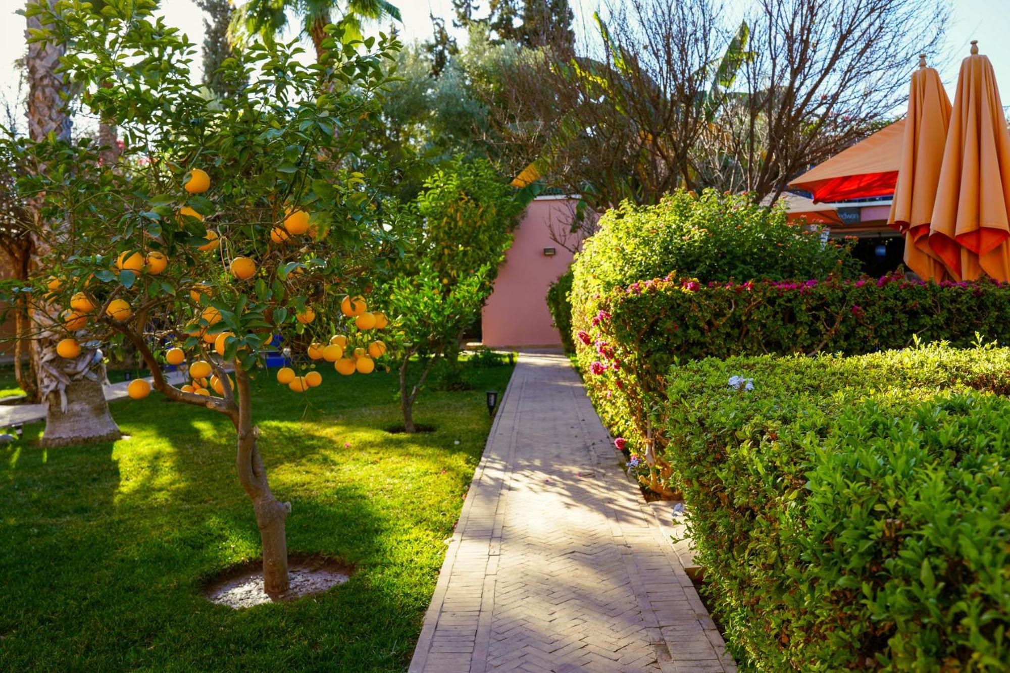 Riad Redwan Douar Caïd Layadi Exterior foto